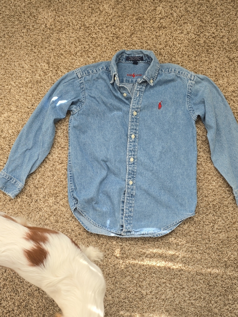Polo by Ralph Lauren Light Blue Denim Button-Down Shirt, Boys